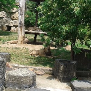 Exkurze 2. ročníku v pražské ZOO