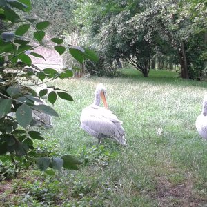 Exkurze 2. ročníku v pražské ZOO