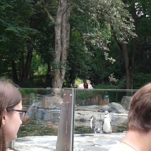 Exkurze 2. ročníku v pražské ZOO