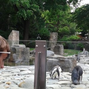 Exkurze 2. ročníku v pražské ZOO