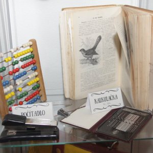 Náhled z galerie