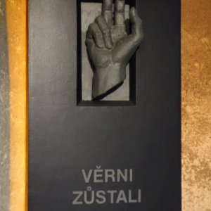 Náhled z galerie