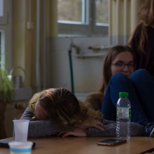 Deník dobříšských gymnazistů z návštěvy v Quedlinburgu 