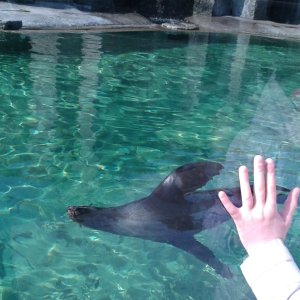 ZOO Praha