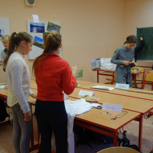 Pravěký den