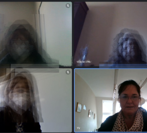 Online konference projektu RIGHTS