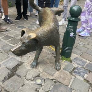 BRUTUS: Tak jsme první noacóóó