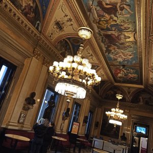 Náhled z galerie