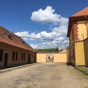 Náhled z galerie
