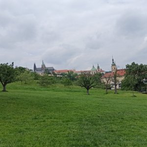 Prima na Pražském hradě