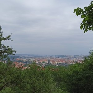 Prima na Pražském hradě