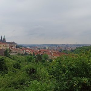 Prima na Pražském hradě