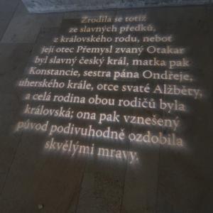 Exkurze do Anežského kláštera