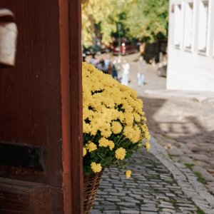 Praha anglicky