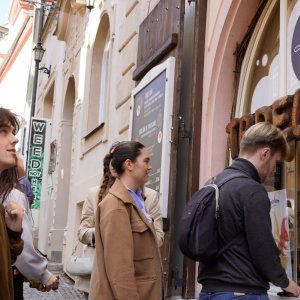 Náhled z galerie