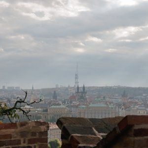 Náhled z galerie