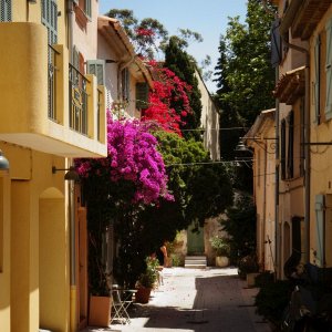Provence