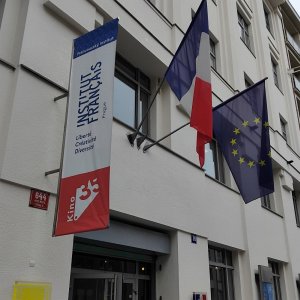 Náhled z galerie