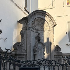 Náhled z galerie