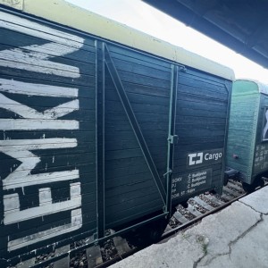 Vlak Lemkin