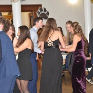Charitativní ples pro Psí útulek Dobříš vynesl přes 38 tisíc korun