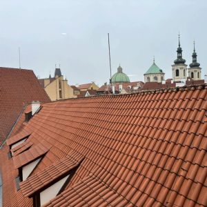 Prima v Národním divadle aneb Kytice kreativně