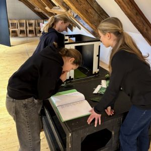 Prima v Národním divadle aneb Kytice kreativně