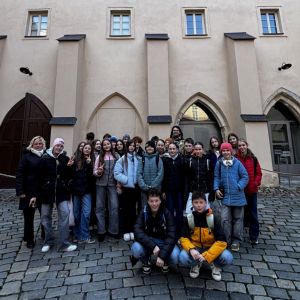 Prima v Národním divadle aneb Kytice kreativně
