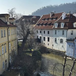 Prima v Národním divadle aneb Kytice kreativně