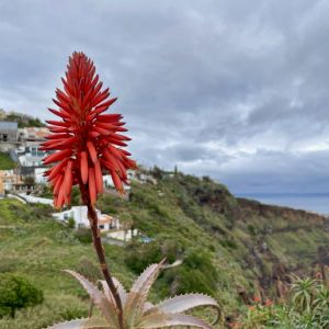 GYMKC navázalo spolupráci s portugalskou školou z ostrova Madeira
