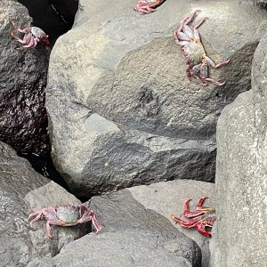 GYMKC navázalo spolupráci s portugalskou školou z ostrova Madeira