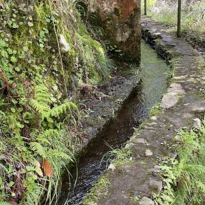 GYMKC navázalo spolupráci s portugalskou školou z ostrova Madeira