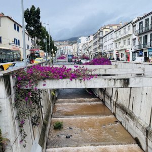 GYMKC navázalo spolupráci s portugalskou školou z ostrova Madeira