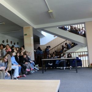 Náhled z galerie