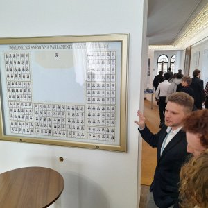Náhled z galerie