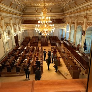Náhled z galerie