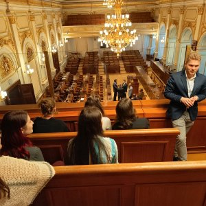 Náhled z galerie