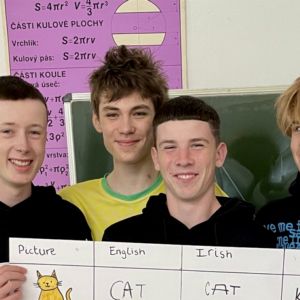 Irští studenti opět na Dobříši: Partnerství, které spojuje a inspiruje