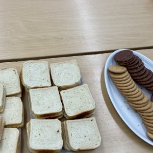 Irští studenti opět na Dobříši: Partnerství, které spojuje a inspiruje