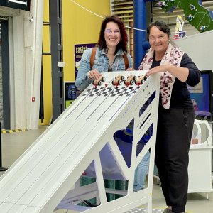 Irští studenti opět na Dobříši: Partnerství, které spojuje a inspiruje
