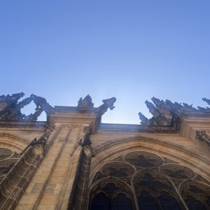 Náhled z galerie