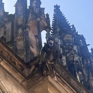 Poetická Praha a... k smrti slunný den