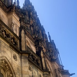 Náhled z galerie