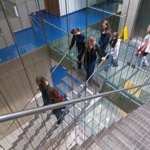Náhled z galerie