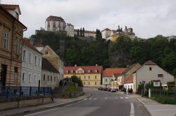 Podyjí - expedice mlok - příroda